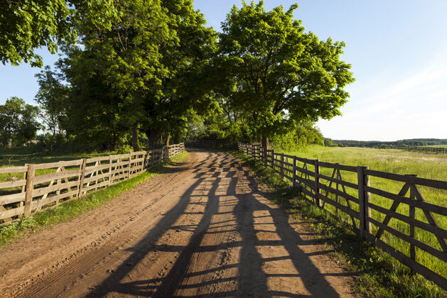 季节农场农村的土路用木栅栏围起来春天宁静路边