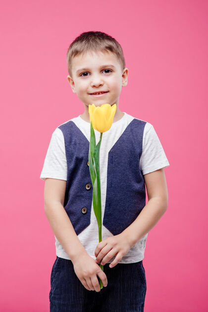 快乐微笑的小男孩手持黄色郁金香花的肖像 隔离在粉红色的墙上年轻小男孩