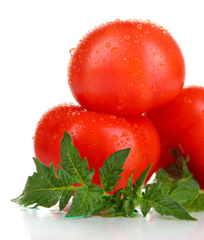 叶子成熟的西红柿隔离在白色蔬菜美食多汁