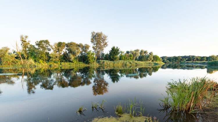 纯净夏日湖水清凉 大宁静的景色草地天空池塘