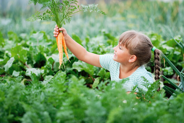 零小女孩在厨房里摘胡萝卜花园.秋天蔬菜收获家庭送货蔬菜