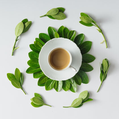 咖啡馆创意平铺花形早餐咖啡花园植物有机