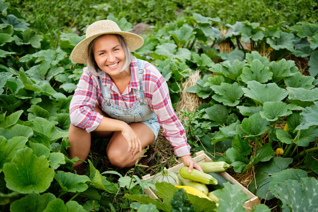 健康戴着帽子的可爱女孩在花园里摘最新鲜的南瓜和西葫芦花园.秋天蔬菜收获秋季植物生物