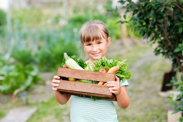 季节小女孩手里拿着一篮子丰收的有机蔬菜和根茎上的有机生物农场.秋天蔬菜收获采摘生菜园艺