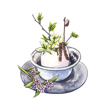 事件鸟蛋春水彩杯花手在白色上画水彩插图背景.复活节收藏自然季节花卉