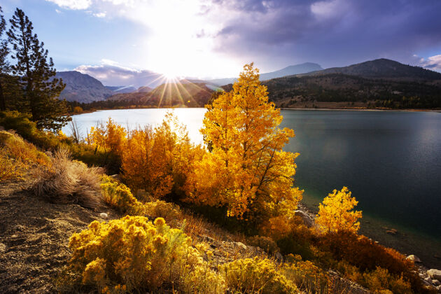 黄色内华达山脉风景山崩树叶加州景观 美国自然山脊蓝色