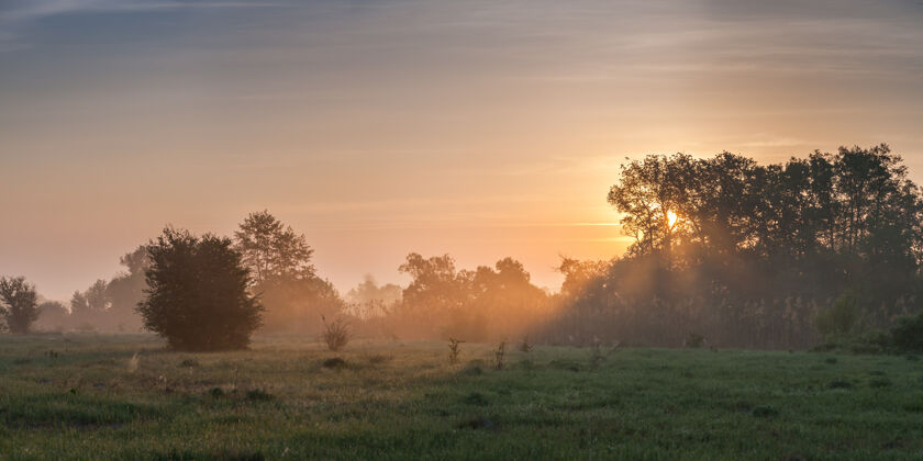 牧场清晨的景色 河边的草地 美丽的夏日日出 雾和太阳 全景草地风景早晨