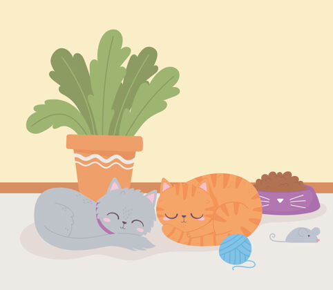 植物可爱的猫与植物和玩具在房间休息毛皮休息宠物