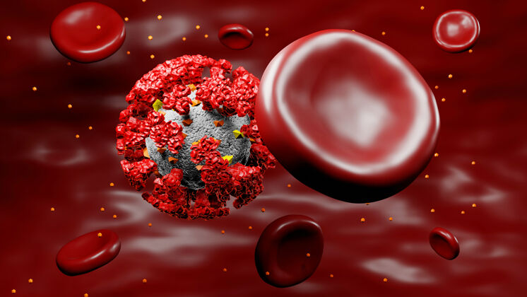 3d冠状病毒细胞与人体血管中的人红细胞病毒细胞冠状病毒