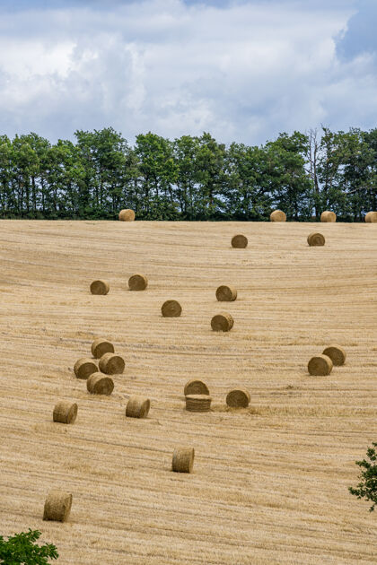 天空干草在农田上打滚 小麦收获的时候到了小麦户外乡村