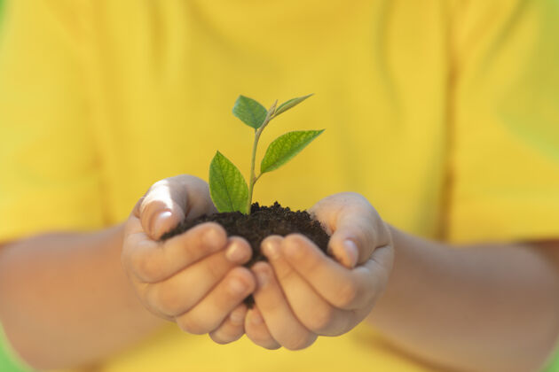 土壤孩子手里拿着幼嫩的绿色植物成长希望成长