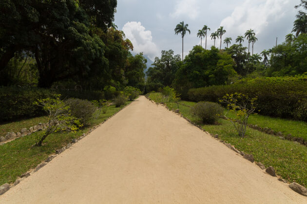 风景巴西里约热内卢植物园的小路景观景点里约热内卢巴西