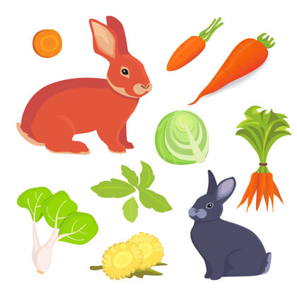 白色兔子卡通插图.兔子食物收集套装兔子装饰多彩