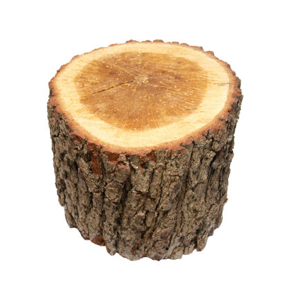 木材木头树桩隔离在白色的原木上树皮部分物体