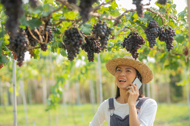 工人女园丁用手机为她的葡萄点菜葡萄农业采摘