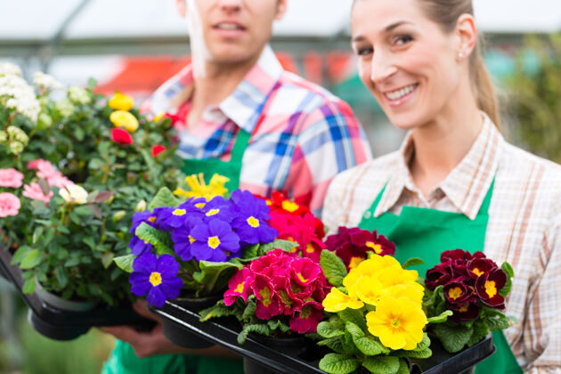 花花店 温室或苗圃的花匠或园丁男人商业农业