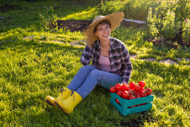 叶在阳光明媚的夏天 戴着草帽的勤劳的年轻女园丁捡起她收获的一盒西红柿乡村欢乐自然