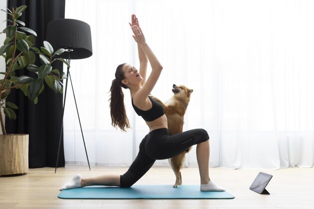 动物年轻的女人在她的狗旁边做瑜伽狗主人感情