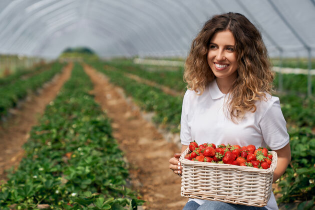 田地带着微笑的黑发女人拿着装满草莓的篮子温室生长采摘