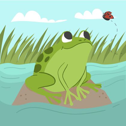 绿色平面设计可爱青蛙插画动物青蛙野生