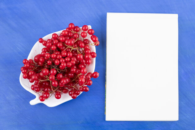 水果一簇红醋栗放在一个华丽的盘子里 旁边是一个蓝色表面的笔记本食欲红醋栗味道