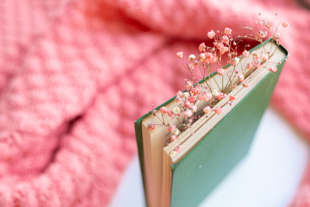 早晨一件粉色温暖的针织毛衣上有干花的绿皮书优雅学习故事