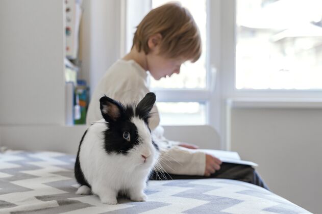 业主中枪小孩抱着兔子可爱房子室内