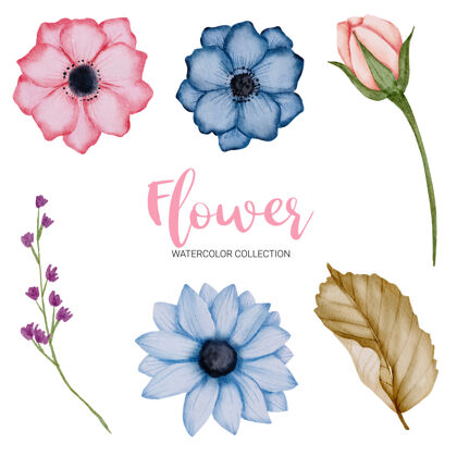 自然一组独立的部分 汇集到美丽的花束在水彩风格花卉绘画粉彩