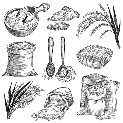 食物袋装和碗装米饭素描集收集雕刻谷物