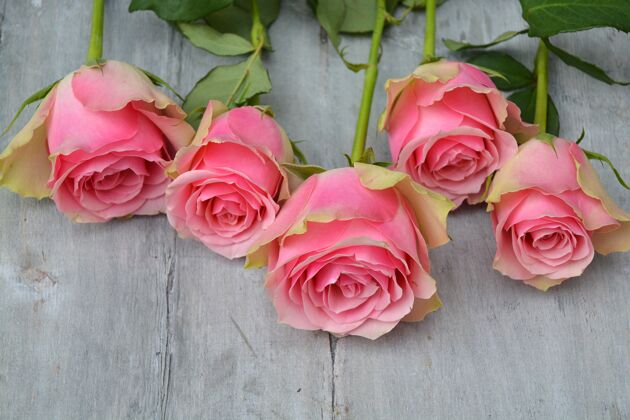 花美丽的粉红色玫瑰在木头表面束花木头