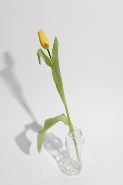花瓶桌上花瓶里的花花开花花