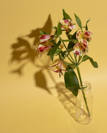 花桌上花瓶里的花花开花叶