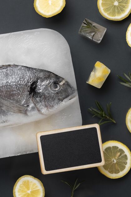 冷冻食品顶视图健康冷冻食品安排刷新生的冷藏