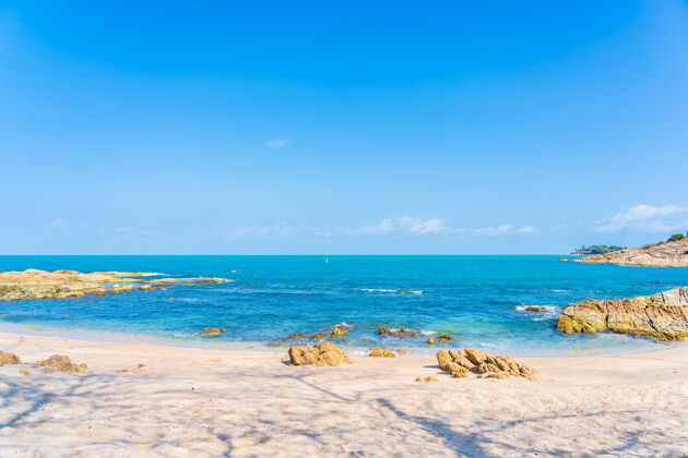 海洋美丽的热带海滩 大海与椰子棕榈树环绕 白云蓝天为度假旅游的背景树叶田园诗海滩