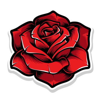 花红玫瑰玫瑰开花红