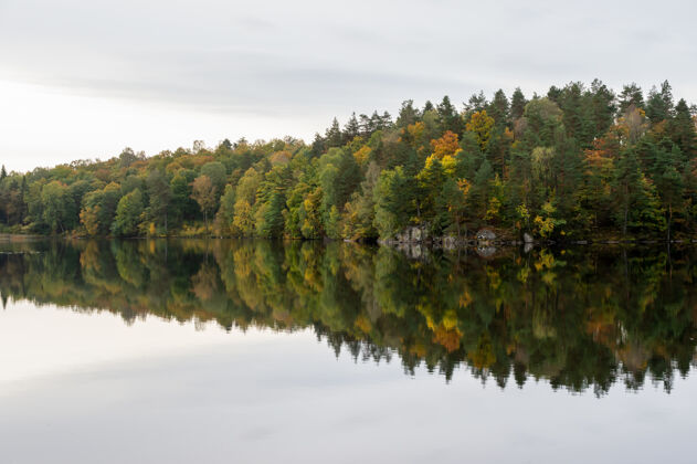 保护湖边的秋景 秋色的树木叶季节和平和安静