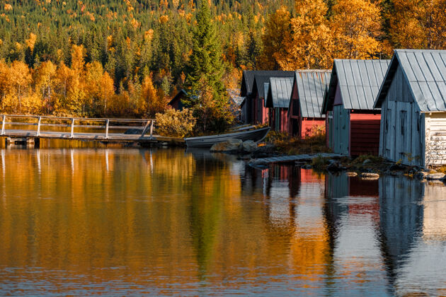 结构秋天船坞的美丽照片黄色水自然