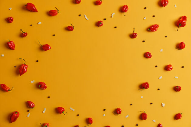 西班牙红色哈巴内罗辣椒 配以胡椒粉和椰子片 在黄色背景上呈圆形排列 中间留有空白 供您参考食谱或其他有关配料的信息蔬菜概念蔬菜烹饪调味品