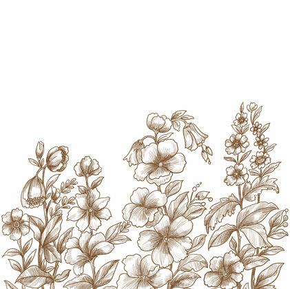 手绘装饰花卉素描素描花卉卡植物