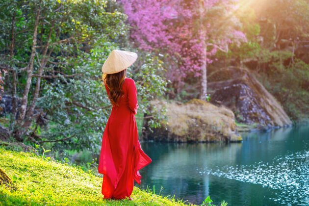 花园樱花园里穿着越南传统文化的女人樱花文化越南