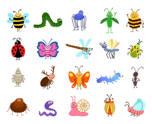 小有趣的虫子可爱的虫子和昆虫隔离在白色背景上一组字符昆虫蜜蜂和毛虫 蜘蛛和蝴蝶插图毛虫蠕虫自然