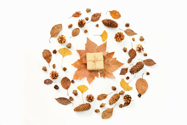 叶子一个礼物的顶视图在花环的中间 由秋天的叶子和针叶锥做成在秋天颜色