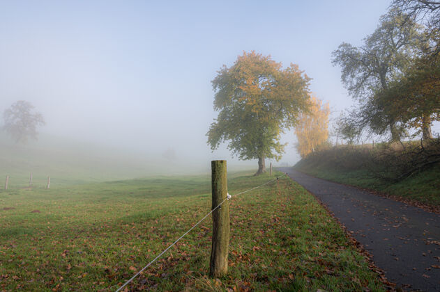树雾蒙蒙的早晨 奥登瓦尔德徒步旅行区太阳星寂静