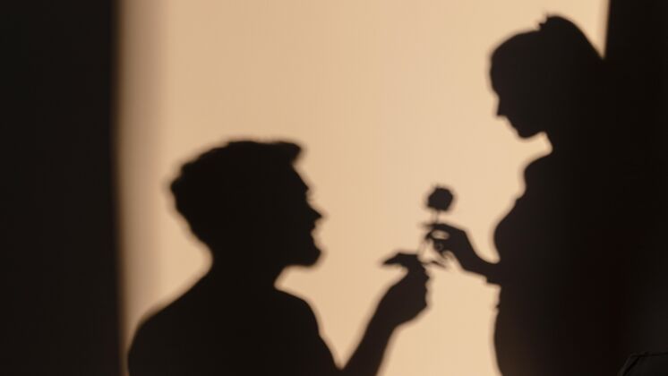 优雅男人和女人在家约会的剪影女性阴影玫瑰