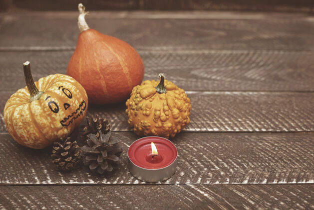装饰小蜡烛照亮秋天的作文空秋天蔬菜