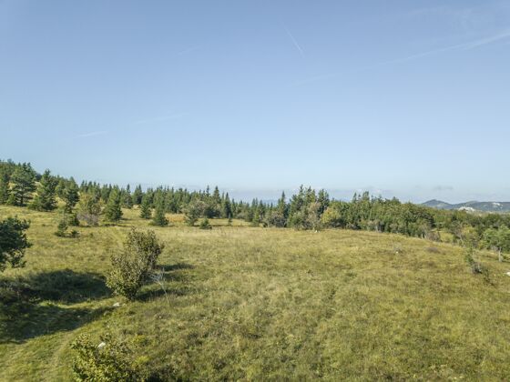 公园斯洛文尼亚蓝天下树木闪烁的高山高角度镜头树绿色林地