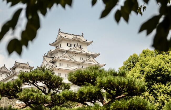 白色选择性聚焦拍摄的白色姬路城堡 姬路 日本难以置信自然外部