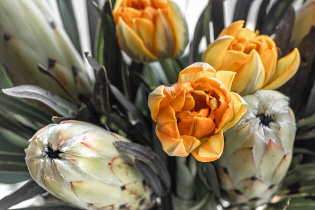 郁金香一束奇异的皇家变形木和明亮的郁金香花热带植物组成异国情调花卉热带