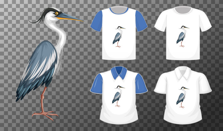 团体一套不同的衬衫与伟大的蓝鹭卡通人物隔离在透明的背景可爱T恤动物