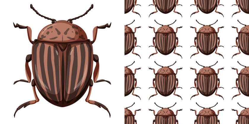 小科罗拉多甲虫和无缝模式重复主题虫子